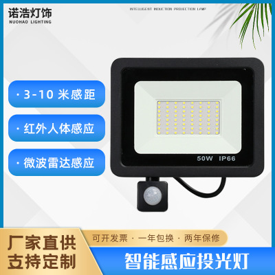 new pattern LED Apple infra-red human body Induction Cast light outdoors waterproof high-power microwave Induction Spotlight