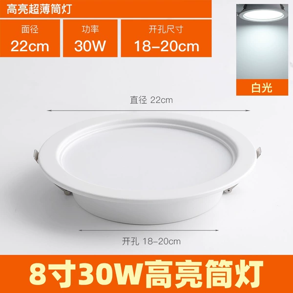 [High-brightness model] 8-inch-30W-white light