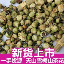 天山雪莲花茶 天山雪莲花茶品牌 图片 价格 天山雪莲花茶批发 阿里巴巴