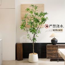 ����Gֲ�R��ľ�߶��p�҃ȿ͏d�Ҿ�ܛ�b�����b����ֲ�����Ԕ[��