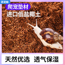 Ҭ��΁ţ������B���}��ľ�з�����|��͸�Ᵽ������Ҭ���I�B��