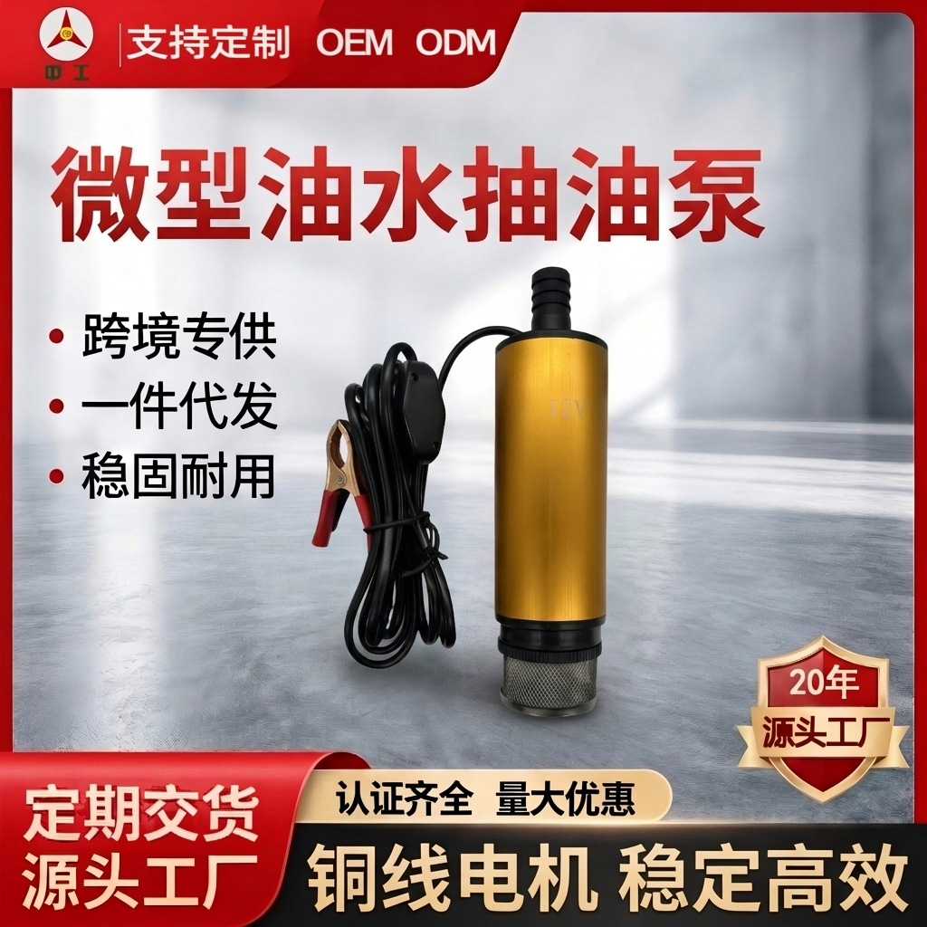 便携式电动加油泵12v/24v厂家定制批发迷你直流微型抽油泵抽水泵