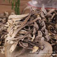 Yunnan specialty velvet antler mushroom dry goods manufacturer wholesale velvet antler mushroom dry goods hotel hot pot restaurant ingredients origin of goods