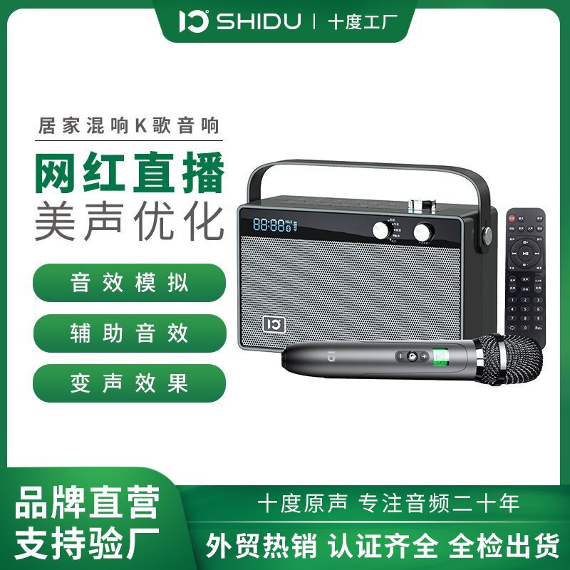 Ten-degree Teana T6 portable audio Home portable live karaoke with wireless microphone bass monitor Bluetooth speaker