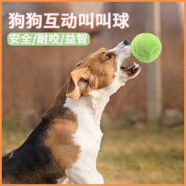 新品居家外出狗狗玩具球解闷发声球互动发声叫叫球宠物塑胶玩具球