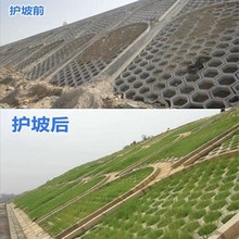 ���l�o�¸���é�N���ļ������ͺ��ͺ��ݷN�ӾG���ݷN���o�¹���