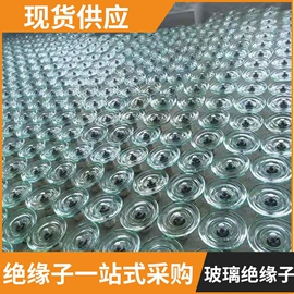 绝缘子;避雷器;固定金具