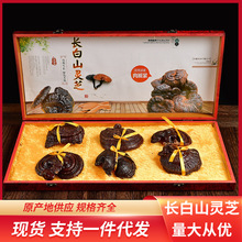 长白山灵芝干货整枝紫灵芝整朵东北林芝礼盒装中药材批发源头代发