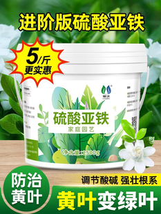 Ferrous Sulfate Flower Fertilizer, Flower Iron Fertilizer, Household Potted Flower General Acidic Gardenia Granular Fertilizer