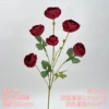 New Liutou sasanqua-red