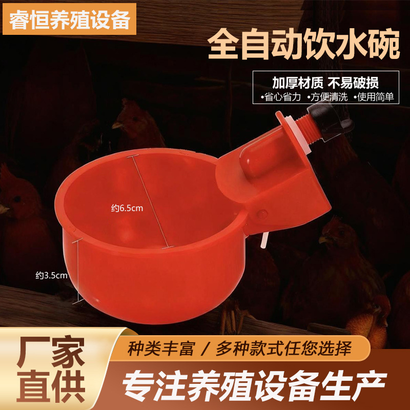 全自动鸡饮水碗家禽自动小鸡饮水器 鸡水碗 鸭鹅鸽子喂水养殖设备