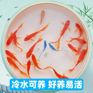 С~Lβͽ~˺B׻ͺԁˮ~ˮ^p~