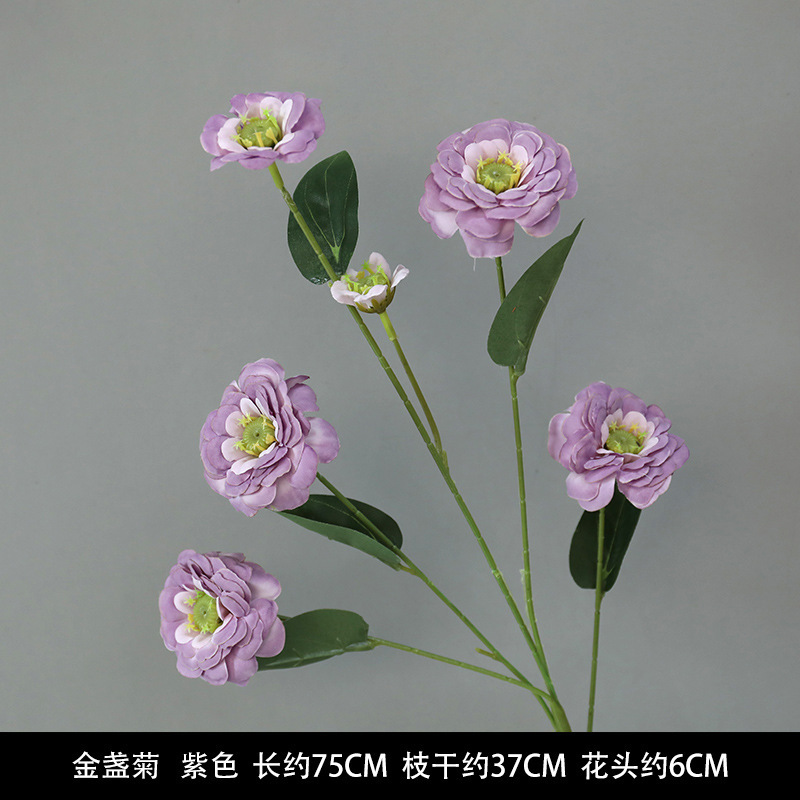 금잔화