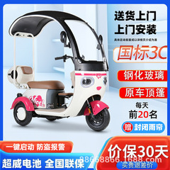 新しいオールインワンカーポートレジャー電動三輪車子供送迎大人女性バッテリーカーメーカー卸売パンダ