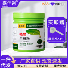 快速生根粉树木生根剂植物果树苗木大型移栽种植生根水壮苗发根剂