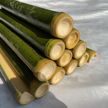 ̩���㽶��W�t�㽶�񎧵׹���Ͳĥ����Ͳ������ģ�����r��Ͳ