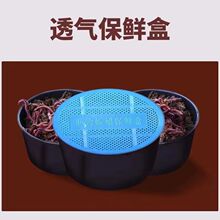 鲜活蚯蚓活体鲫鱼钓鱼鲤鱼大号饵料垂钓红虫黑坑野钓散装活饵盒装