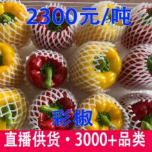 ɽ�|�r�����r�t�S�ʽ��������ӽ������tɫ����𽷼t���\ˮ����