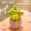 Full cup of little daisy [color box installation] 284 granules