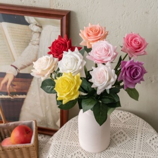 �S���ָб���õ�廨INS�L���滨���b�c���������ٻ���ˇƷ