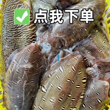 �������ƴ�ī�~���rСī�~�r�����Ŀ�~���\��֦���rˮ�a