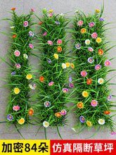 ��ƺ�پGֲ��������ֲ������bG��Ƥ�|��̺�쾰�[�O��̨