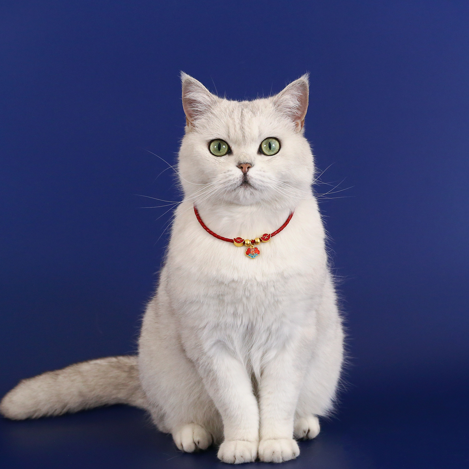 Pet PU collar gato perro arena china jade oro larga vida cerradura arco campana colgante collar de Año Nuevo