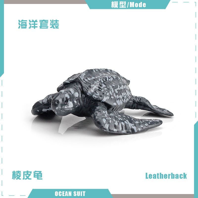 Tortuga laúd BL-5055 5g