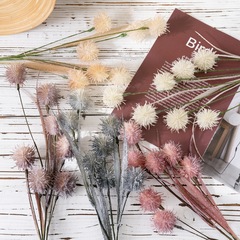 玫瑰花牆暖花蒲公英仿真花INS廠家家居裝飾婚慶手捧花假花MW09107