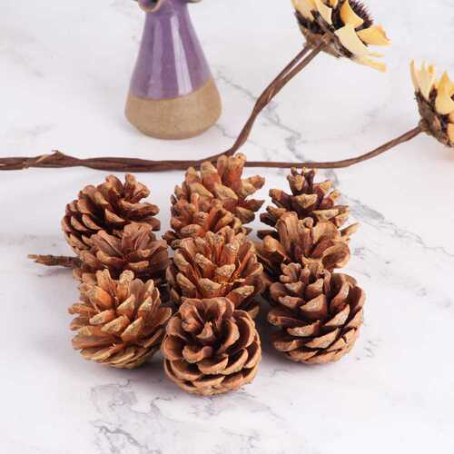 4CM Original Pine Cone 6-Pack Christmas Decorative Supplies Christmas Tree Ornaments Natural Pinecones Scene Decoration