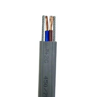 ��ܛ����TVVB/G����| 2*1.5mm&sup2;��ݿ��{���ñ�ƽ늾����˼��~