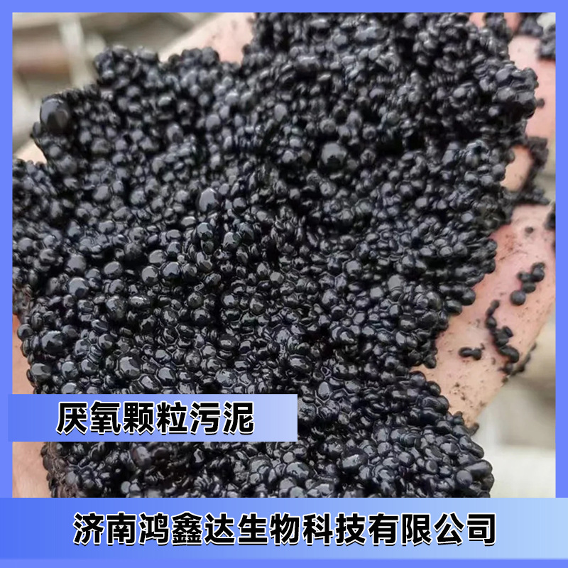 活性污泥厌氧池塔活性污泥菌种COD总磷总氮处理厌氧颗粒污泥