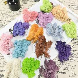 幻花永生花5克苔藓花材材料包钥匙扣玻璃罩diy花球车挂永生苔藓