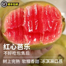 ����ܛŴ�t�İŘ���ʯ���ش�ˮ�����r���]���Ͱ͘���ܛ�ĵ���ˮ��