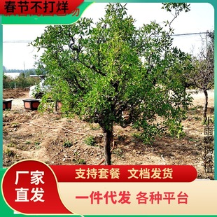 һ�����l��횗�������צ���P�������ش��^�pͥԺ���F�����Ϙ���