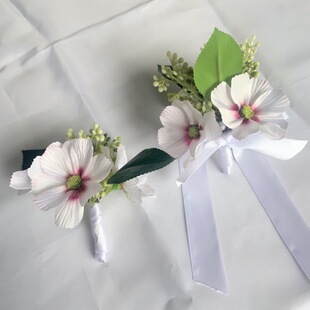 �����c�ػ����󻨿羳ɭϵ��������Y��������_�W��Y�b�