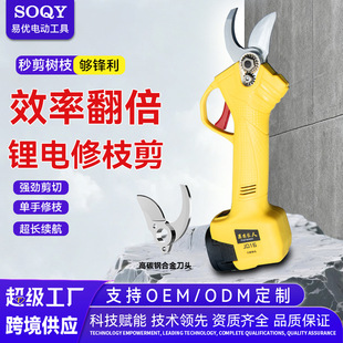 늄Ӽ������ʽ�����@�ֹ�����֦�������늼���֦늼���֦�l