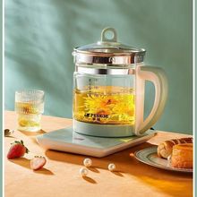 養生壺多功能電熱水壺燒水花茶壺辦公室煎葯壺玻璃煮花茶器批發
