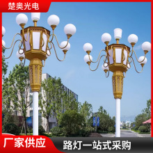 中华灯玉兰灯6/8/9/10米多头防水景观灯广场灯户外市政道路照明灯
