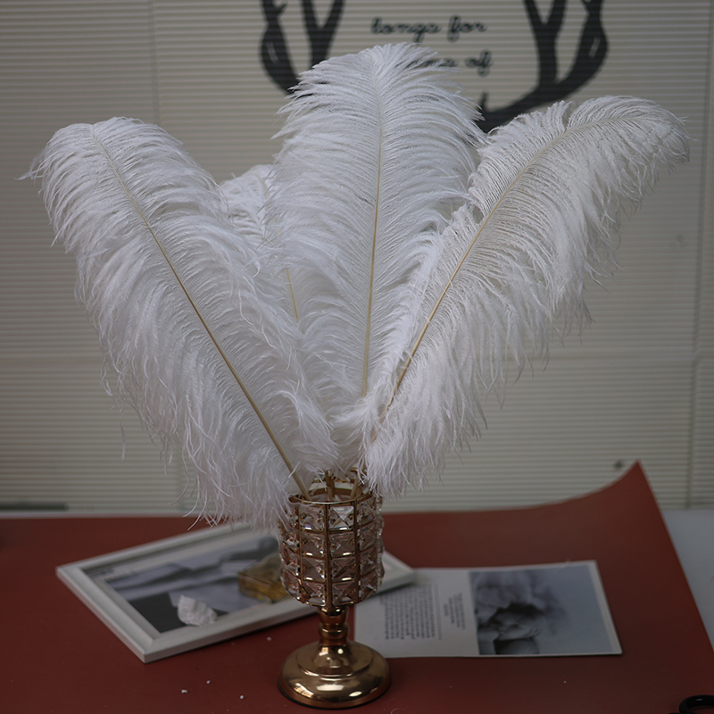 Plumas de avestruz bodas blancas de avestruz guía de plumas accesorios de fotos adornos rojo rosado en línea grandes plumas decoración