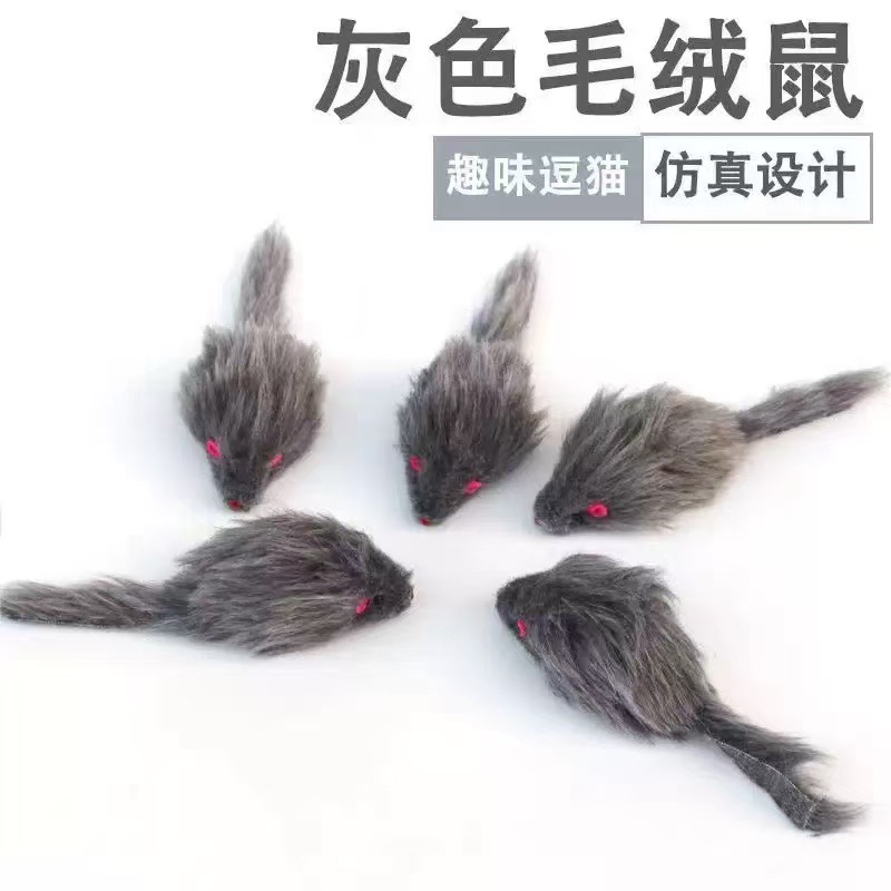 회색 큰 쥐