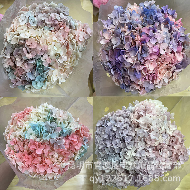 厂家批发渐变永生花安娜绣球 保鲜花礼盒花材居家插花 蝴蝶绣球