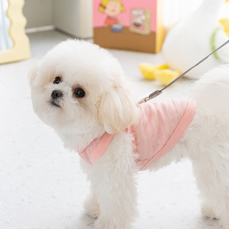 Chaleco de tracción de rayas huecas de verano perros pequeños gatos respirantes no sofocantes camisas de dos patas mascotas ropa de perro