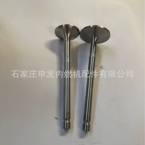 In stock: Scania (SCANIA) DS11 intake valve 294674, exhaust valve 232018