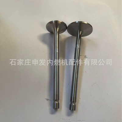In stock: Scania (SCANIA) DS11 intake valve 294674, exhaust valve 232018 (Valves and components)