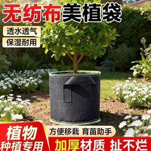 �o������ֲ���Nֲ������Ӻ����ù���������̨�ǷNֲ�߲��B��