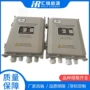 点火hdh-20锅炉点火器