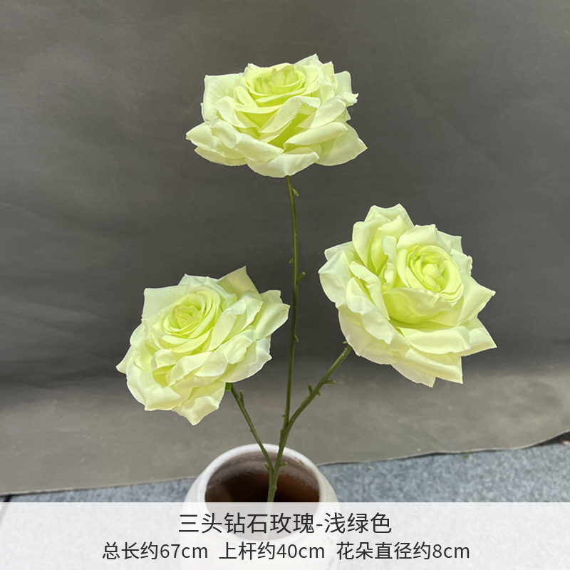 Rosa de diamante de tres cabezas verde claro