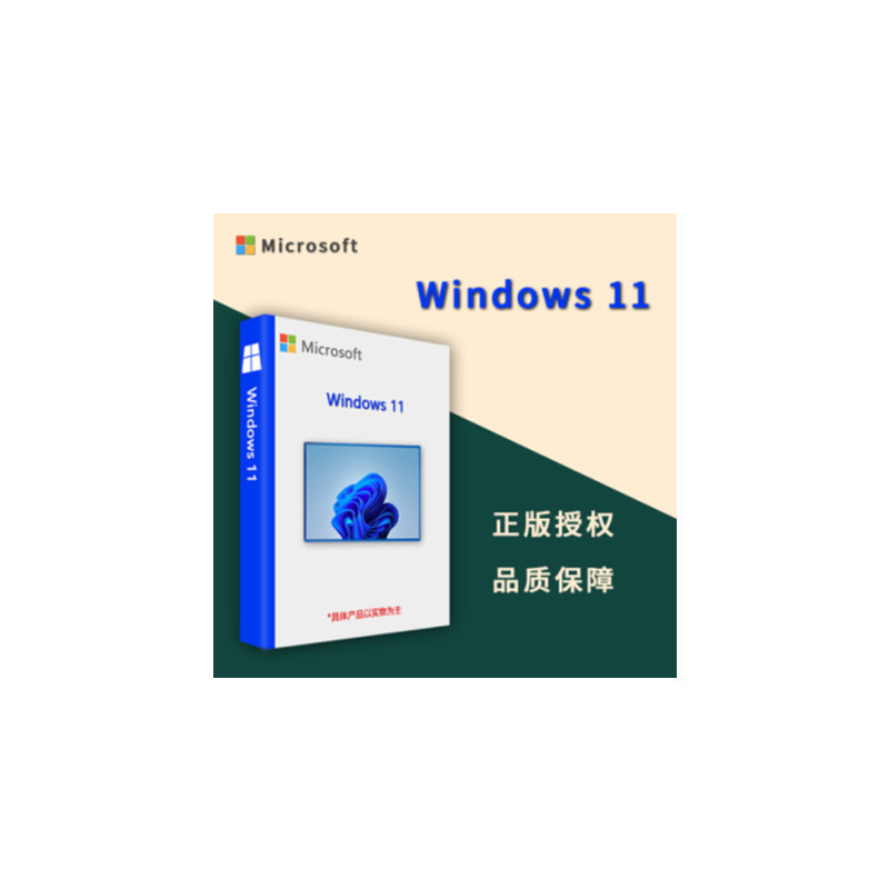 Microsoft Genuine Windows11 Multi-Language Professional Version Win11 Professional Version Embedded