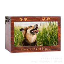 �¿�ľ�|����ǻ�ľ�Џ͹ŹǻҺЎ���򹷹�؈�䚛�ጙ��o��